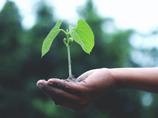 The Importance of Personal Growth | Why You Should Prioritize Self-Improvement